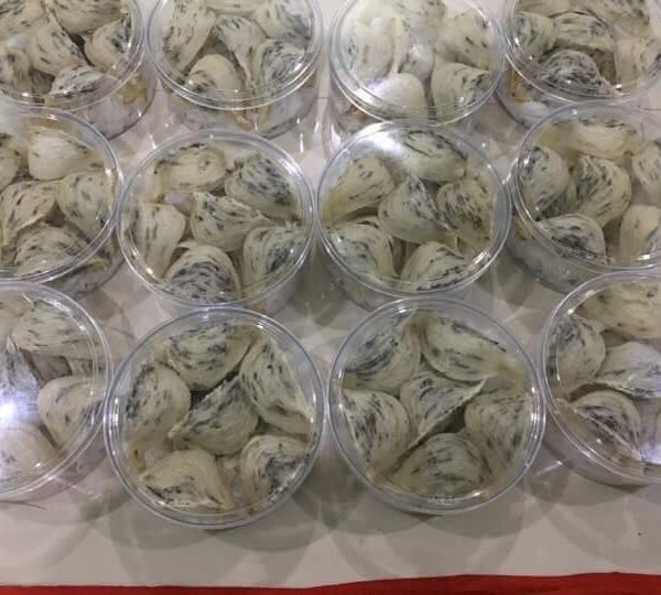 Tổ Yến chưa nhặt lông Yến Thô loại 2 hộp 100g - Đại Lý Yến