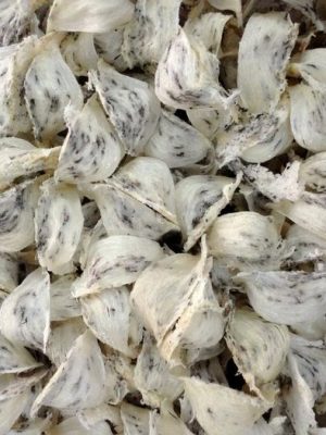 Tổ Yến chưa nhặt lông Yến Thô loại 2 hộp 100g - Đại Lý Yến