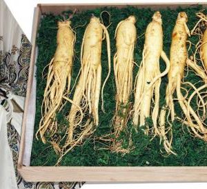 Nhân Sâm Hàn Quốc loại 7 củ 1 kg - Gía 2,4 Triệu - Đại Lý Yến