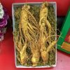Nhân Sâm Hàn Quốc loại 5 củ 1 kg - Gía 2,7 Triệu - Đại Lý Yến