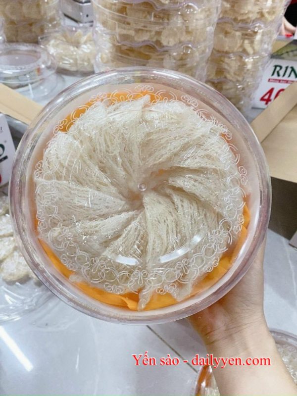 Tổ yến rút lông