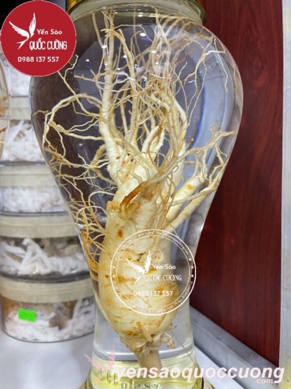 binh sam han quoc 2 lit 1 cu to hinh