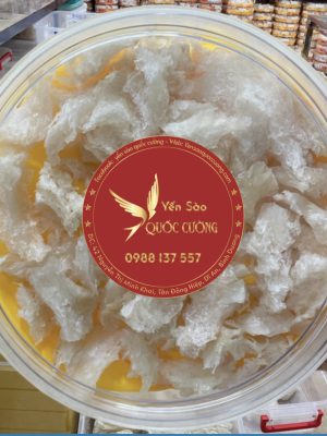 CHÂN ĐẾ CỤC SẠCH LÔNG NGUYÊN CHẤT