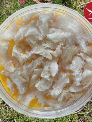 CHÂN ĐẾ CỤC SẠCH LÔNG NGUYÊN CHẤT
