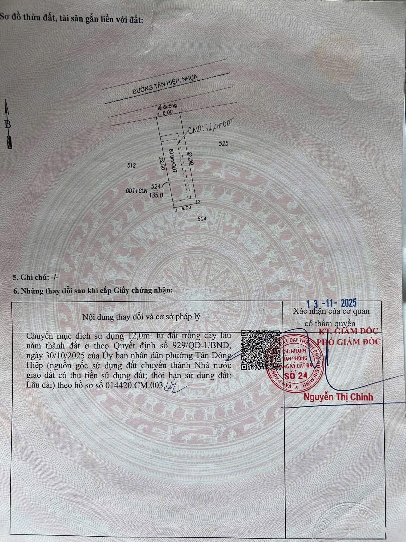 BÁN ĐẤT MẶT TIỀN – ĐƯỜNG NHỰA THÔNG – TÂN ĐÔNG HIỆP, DĨ AN, TP. HỒ CHÍ MINH