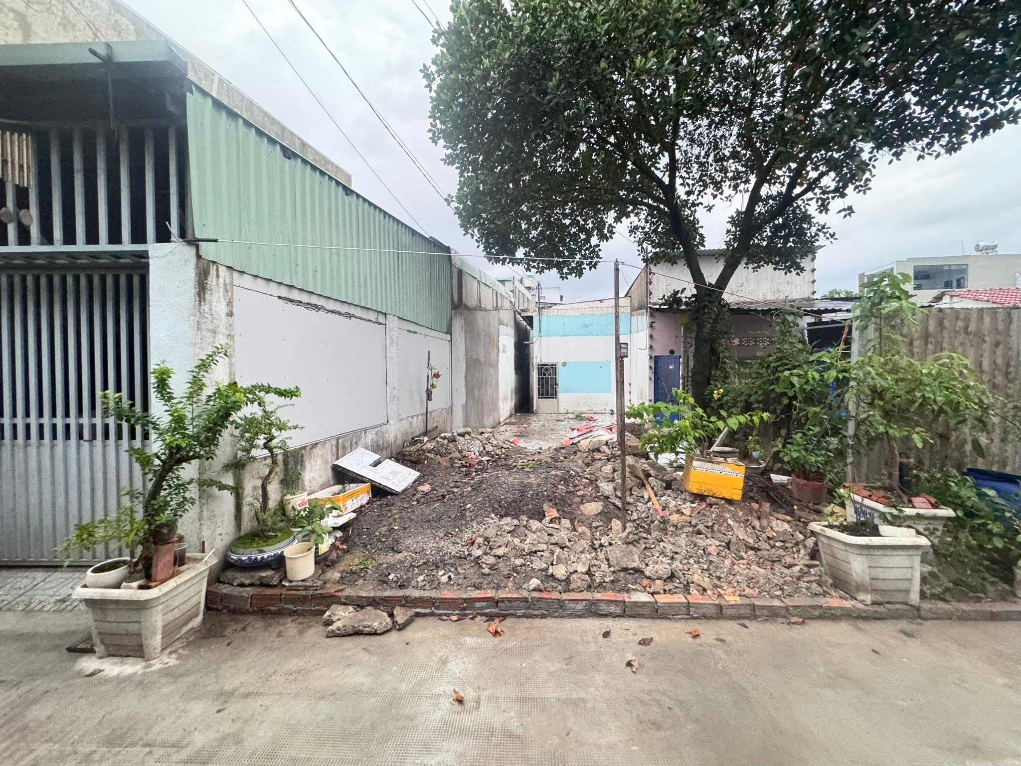 BÁN ĐẤT NGÃ 3 CÂY ĐIỆP – TẶNG CÂY MÍT DAI TRÁI QUANH NĂM, Vị trí đẹp – Giao thông thuận tiện – Khu dân cư hiện hữu