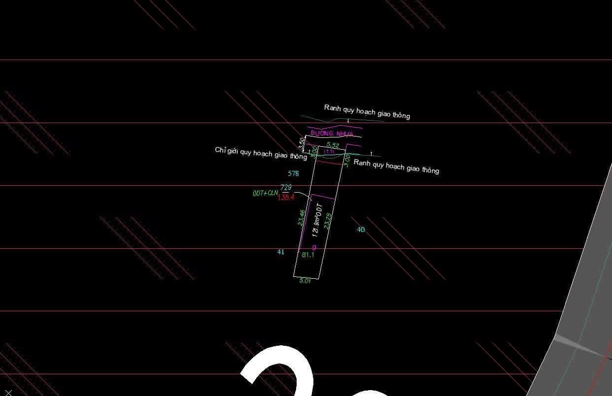 20421